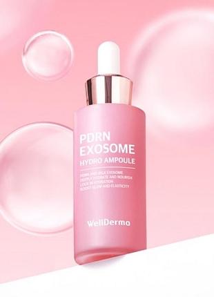 Сироватка ампула wellderma pdrn exosome hydro 30 мл