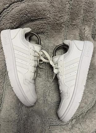 Кросівки жіночі adidas 37.5 р.( уст 24 см,вʼєтнам