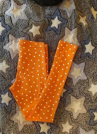 Name it лосины леггинсы 2