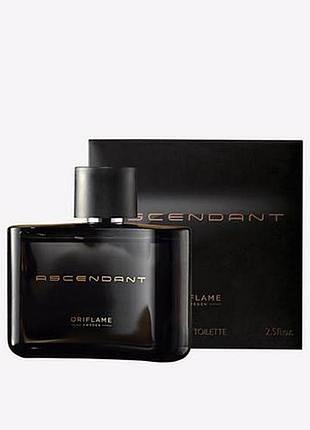 Мужская туалетная вода ascendant, код 42490