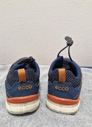 Кросівки ecco