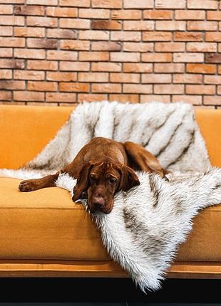 Водонепроникний хутряний плед ihappydog (сша) — розмір 152х127 см ✨