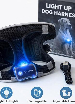Світлодіодна шлейка для собак light up dog harness usb