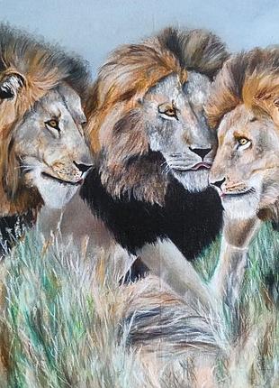 Картина "pride"