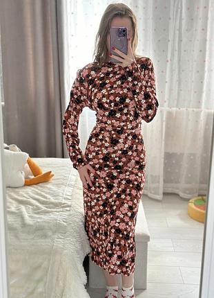 Сукня dorothy perkins