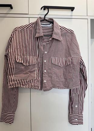 Сорочка primark вкорочена