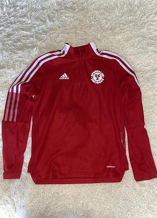 Кофта спортивна adidas 5
