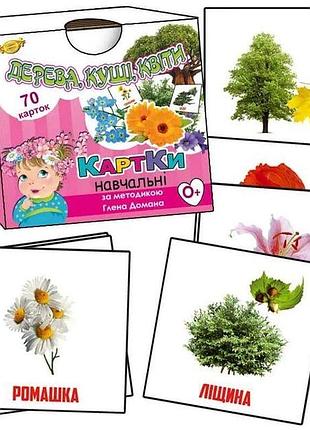 Картки за методикою глена домана. дерева, кущі, квіти. 70 шт