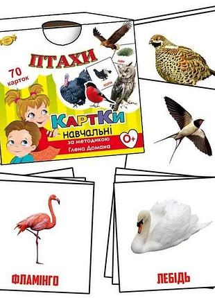 Картки за методикою глена домана. птахи. 70 шт