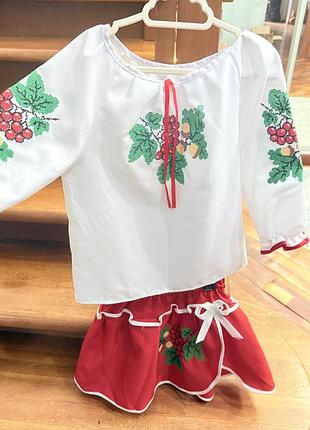 Комплект вишиванка та спідничка