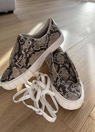 Кеди з імітацією зміїно шкіри😍 нереально зручні, ідеально підійдуть на теплу весну - осінь, а також влітку комфортно.