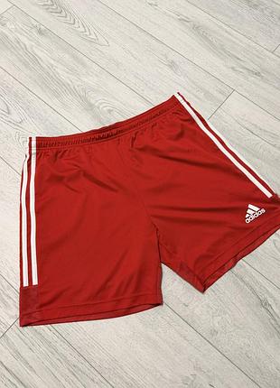 Шорти чоловічі adidas