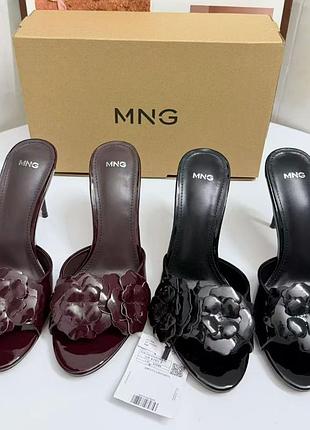 Сабо mango
