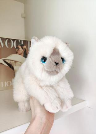 Мягкая игрушка кот keel toys