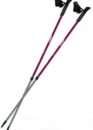 Палки для скандинавской ходьбы tramp fitness trr-011