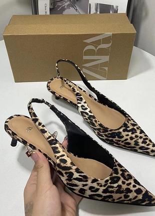 Туфлі човники в принт zara