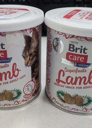 Ласощі для котів ягня з кокосом 100 грам brit care