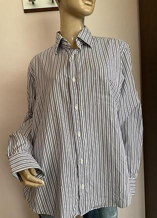 Фирменная мужская рубашка в полоску/17/43/ brend massimo dutti