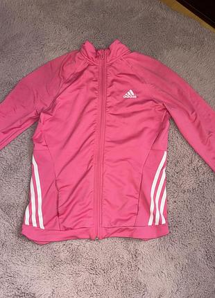 Олімпійка adidas