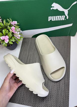 Шлепанцы adidas yeezy slide