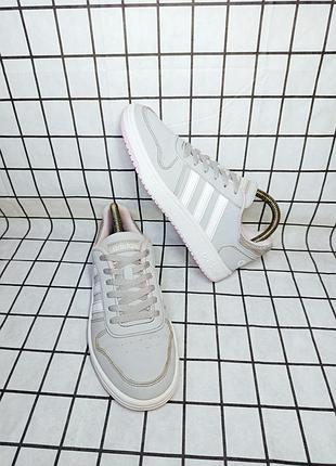 Кросівки adidas hoops 2.0
