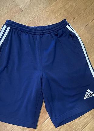 Шорти чоловічі adidas