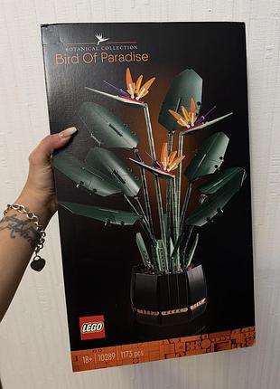 Lego bird of paradise