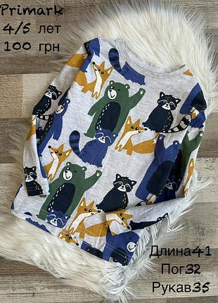Реглан 4/5 років