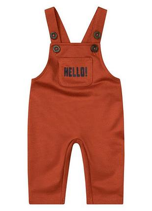Напівкомбінезон з начосом для хлопчика lupilu lidl 381775 074 см (6-9 months) коричневий