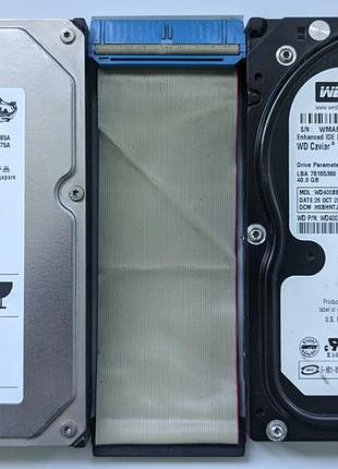 Два жорстких диски western digital black wd400 40gb + шлейф ide у подарунок!
