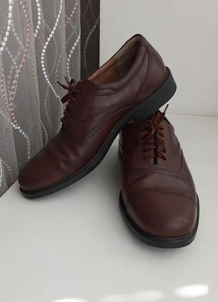 Туфлі clarks