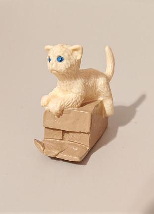 Chat, moins de 6cm