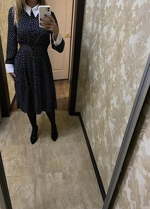 Сукня в горох з акцентним коміром