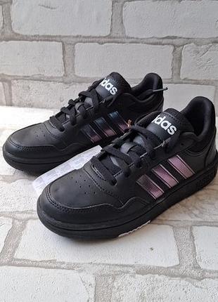 Adidas hoops 3.0 k