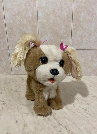 Інтерактивна іграшка бешкетне цуценя bouncy від hasbro furreal friends.