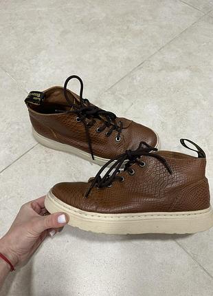 Черевики кеди dr.martens