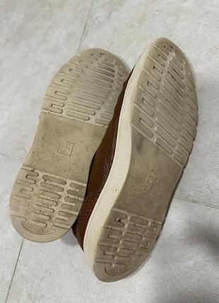 Черевики кеди dr.martens 5
