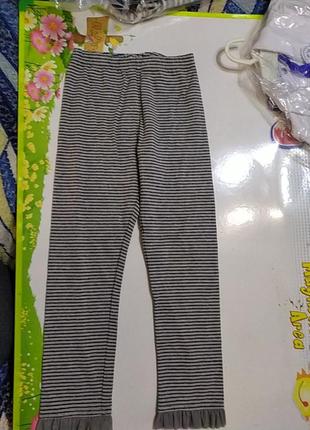 Лосины