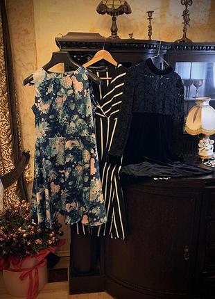 Сукні dolce gabbana