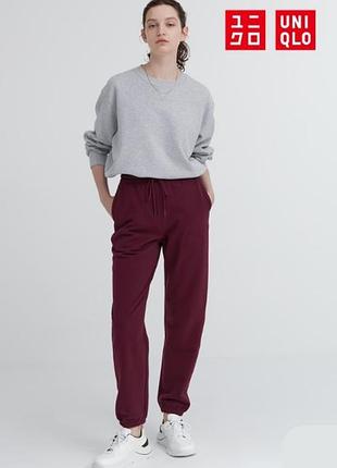 Джоггеры uniqlo