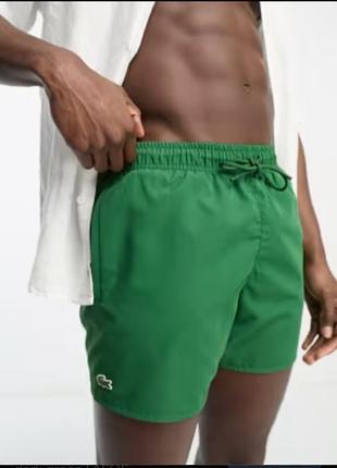 Новые мужские шорты lacoste l