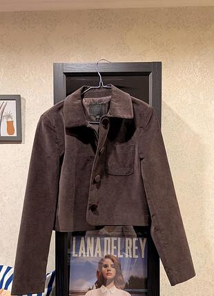 Короткий піджак zara