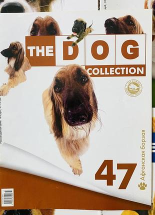 Журнали the dog collection