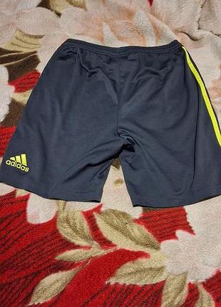 Шорти adidas