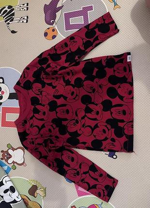 Реглан gap, primark, next 6