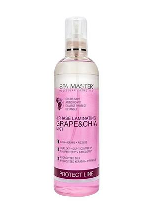 Спрей ламинирующий spa master prof protect line 201 sm для защиты волос виноград и чиа 350 мл.