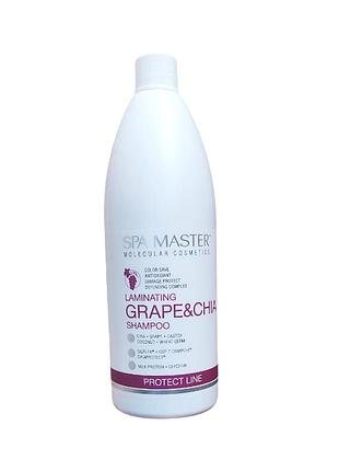 Шампунь ламинирующий для защиты волос spa master prof protect line 201 sm виноград и чиа 970 мл.