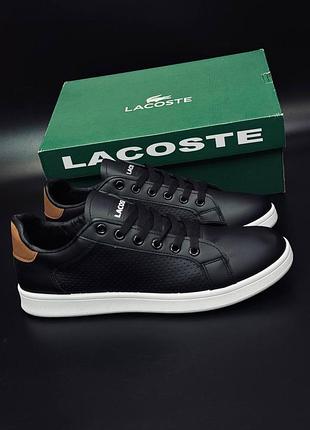 Кеды мужские стильные на каждый день lacoste черные летние кеды кроссовки лакоста классические кеды для мужчин