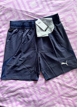 Чоловічі шорти puma