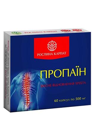 Пропаин для восстановления подвижности суставов и позвоночника 60 капсул
